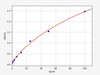 Mouse NGB/ Neuroglobin ELISA Kit (MOFI00998)