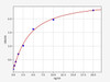 Mouse Thyroid transcription factor 1/TITF1 ELISA Kit (MOFI01154)