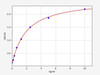 Mouse SDF1/CXCL12 ELISA Kit (MOFI00097)