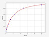 Mouse AQP4/Aquaporin-4 ELISA Kit (MOFI00254)