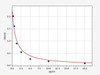 Mouse Gastrin ELISA Kit (MOFI00369)