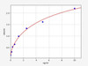 Mouse Rxrg/ Retinoic acid receptor RXR-gamma ELISA Kit (MOFI00406)