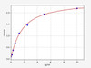 Mouse Complement C5/C5 ELISA Kit (MOFI00512)