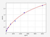 Mouse KiSS-1 ELISA Kit (MOFI00525)