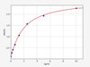 Mouse Cyp19a1/Cytochrome P450 19A1 ELISA Kit (MOFI00530)