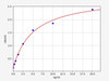 Mouse TERT/Telomerase Reverse Transcriptase ELISA Kit (MOFI00536)