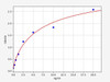 Mouse WNT3A ELISA Kit (MOFI00543)