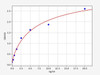 Mouse AbCG3 ELISA Kit (MOFI00601)