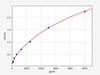 Mouse CKMB/Creatine Kinase MB Isoenzyme ELISA Kit (MOFI00724)