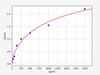 Bovine TGF-beta (Transforming Growth Factor Beta) ELISA Kit (BOFI00015)