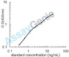 Human Semaphorin-3G (SEMA3G) ELISA Kit (HUEB2246)