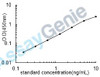 Human Protein Wnt-2 (WNT2) ELISA Kit (HUEB2388)