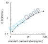 Rat Glycogen phosphorylase, liver form (Pygl) ELISA Kit (RTEB0488)