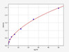 Bovine SOD1 (Superoxide dismutase [Cu-Zn]) ELISA Kit (BOFI00119)