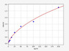 Horse TAFI (Thrombin Acivatable Fibrinolysis Inhibitor) ELISA Kit (HRFI0034)