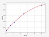 Human FPGS (Folylpolyglutamate synthase) ELISA Kit (HUFI04747)