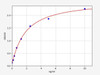 Human NUCB1 (Nucleobindin-1) ELISA Kit (HUFI04998)