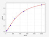 Human SIRT2 (NAD-dependent protein deacetylase sirtuin-2) ELISA Kit (HUFI06513)
