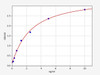 Human PTPRS (Receptor-type tyrosine-protein phosphatase S) ELISA Kit (HUFI06954)