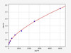 Mouse AT1R ELISA Kit (MOFI01393)
