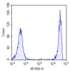 TUNEL 1-Step In Situ Apoptosis Kit (FL488) (AKES072)