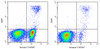 Annexin V-AF647 Azide-Free Lyophilized Powder (AKES010)
