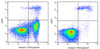 Annexin V-PE/Cyanine7 Reagent (AKES018)