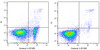 Annexin V-AF488 Reagent (AKES025)