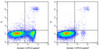 Annexin V-APC/Cyanine7/PI Apoptosis Kit (AKES044)