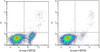 Annexin V-ER780/PI Apoptosis Kit (AKES052)