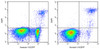 Annexin V-EGFP/DAPI Apoptosis Kit (AKES058)