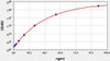 Mouse SARS-CoV-2 Spike RBD XBB.1 IgG ELISA Kit (AEFI00762)