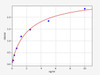 Human DMD (Dystrophin) ELISA Kit (AEFI00310)