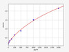 Mouse ISG15 (Ubiquitin-like protein ISG15) ELISA Kit (AEFI00733)