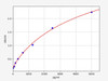 Mouse Mtarc1 (Mitochondrial amidoxime-reducing component 1) ELISA Kit (AEFI00634)