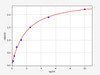 Mouse Prss8 (Prostasin) ELISA Kit (AEFI00707)