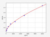 Mouse SRC (Proto-oncogene tyrosine-protein kinase Src) ELISA Kit (AEFI00569)