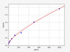 Porcine IL-13 ELISA Kit (AEFI00802)