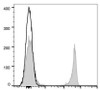 GenieFluor 647 Anti-Mouse CD8a Antibody [53-6.7] (AGEL1345)