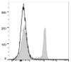 PerCP Anti-Rat CD4 (domain 1) Antibody [OX-38] (AGEL1358)