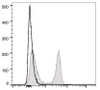 PerCP/Cyanine5.5 Anti-Rat CD4 (domain 1) Antibody [OX-38] (AGEL1362)