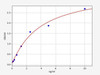 Human Desert Hedgehog/Dhh ELISA Kit (HUFI00881)
