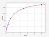 Human SARDH/Sarcosine dehydrogenase ELISA Kit (HUFI01182)