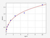 Human Calumenin/CALU ELISA Kit (HUFI01650)