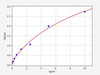 Human FoxC1/Forkhead Box Protein C1 ELISA Kit (HUFI02471)
