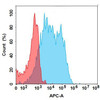 CD93 (Biosimilar) mAb (HDBS0158)