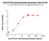 FOLR1 (Mirvetuximab biosimilar) mAb (HDBS0159)