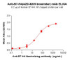 B7-H4 (AZD-8205 biosimilar) mAb (HDBS0172)