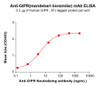 GIPR (Maridebart biosimilar) mAb (HDBS0194)