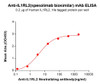 IL1RL2 (Spesolimab biosimilar) mAb (HDBS0430)